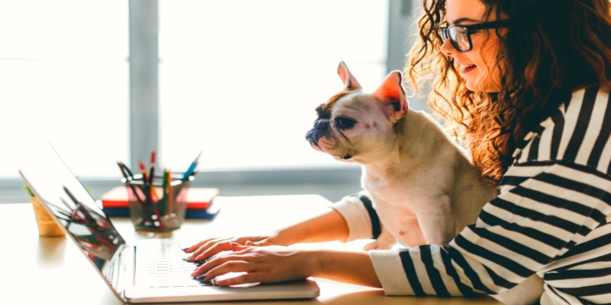 woman with dog computer