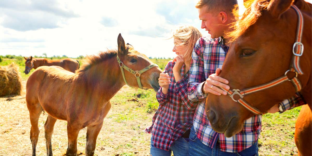 young couple having problem with horses