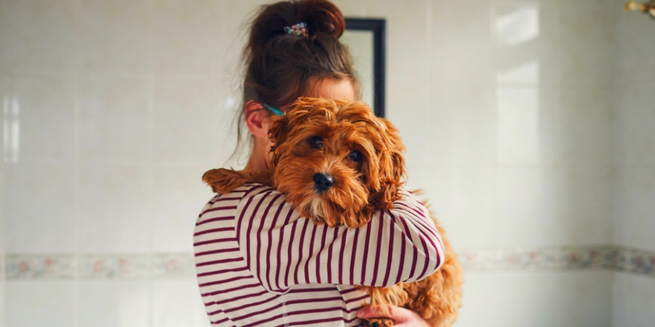 how to personally disappoint each zodiac sign how to personally disappoint each zodiac sign