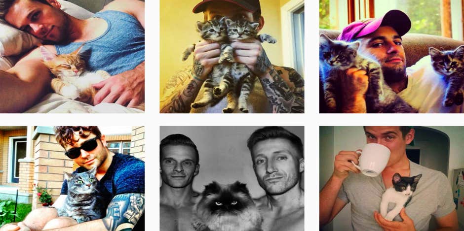 This Instagram Features Hot Men Holding Cute Kittens