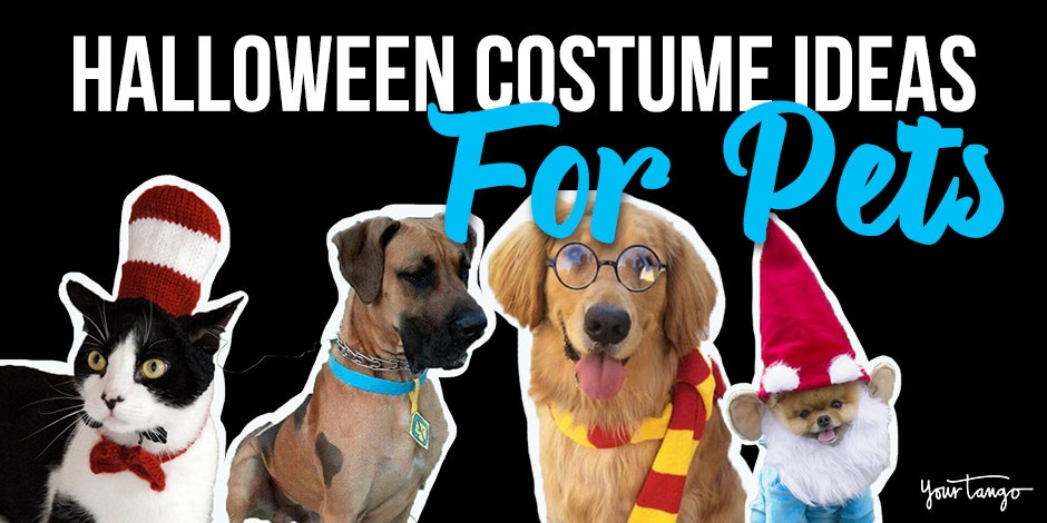 dog halloween costumes for cats
