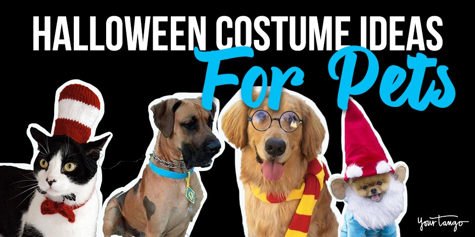 40 Best Dog Halloween Costumes & Cat Halloween Costumes