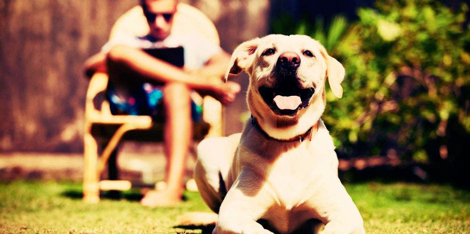 How To Be Happy: The Truth About Your Happiness How To Be Happy: The Truth About Your Happiness