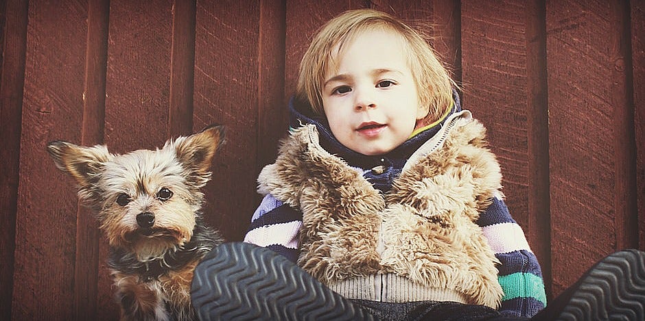 kids and pets death of pet