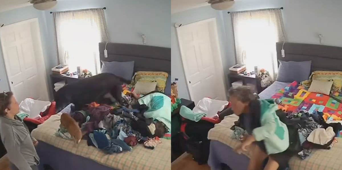 Video Reveals A Mother Finding A Homeless Woman In Child's Bed Home surveillance footage