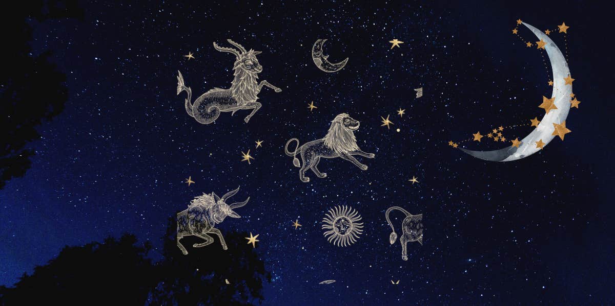 all zodiac sign's horoscopes for november 14, 2023