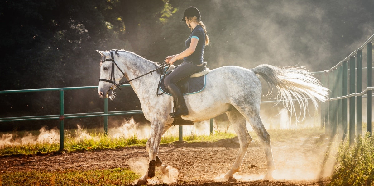 woman riding gray horse