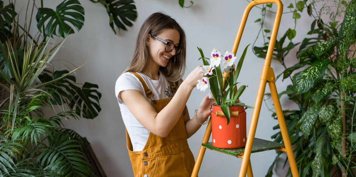 10 Ways Your House Plants Make You A Better Partner