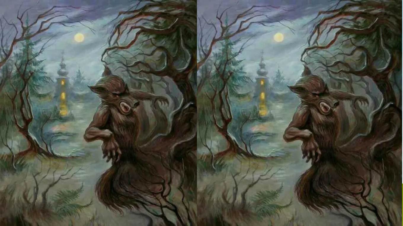 Personality Test Reveals How You Say I Love You Secretly optical illusion man wolf