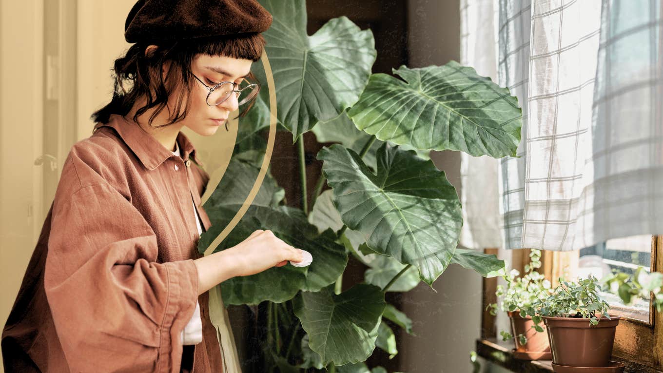 Woman taking care of her plants as a hobby 