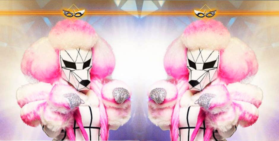 The Masked Singer Spoilers! Who Is The Poodle?