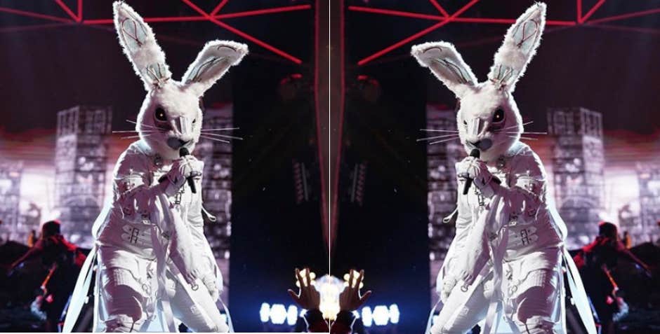The Masked Singer Spoilers: Who Is The Rabbit?