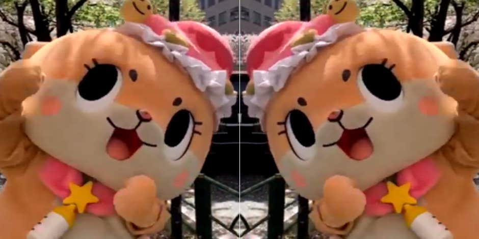 New Details On The Cuteness Overload That Has Become An Unofficial Mascot New Details On The Cuteness Overload That Has Become An Unofficial Mascot