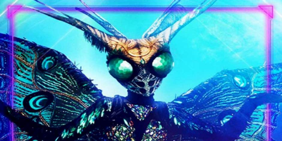 The Masked Singer Spoilers: Who Is The Butterfly? The Masked Singer Spoilers: Who Is The Butterfly?