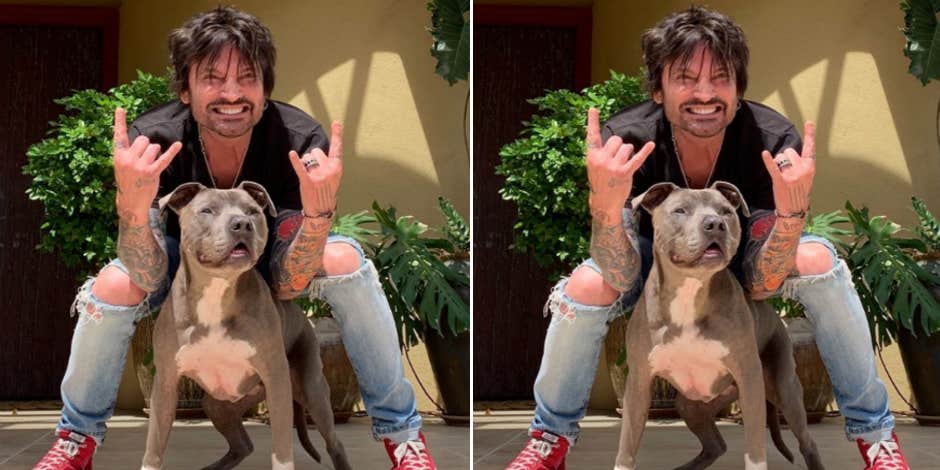 Why Are Tommy Lee And Vince Neil Feuding? New Details On The Motley Crue Members Latest Fallout