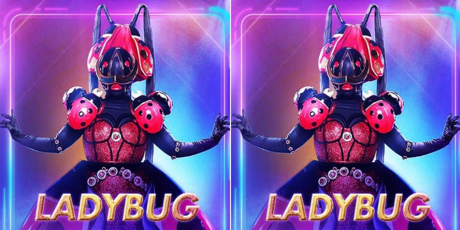 The Masked Singer Spoilers: Who Is The Ladybug?