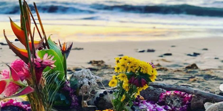 Who Is Thomas Smiley? New Details About The Doctor Killed In Shark Attack In Hawaii Who Is Thomas Smiley? New Details About The Doctor Killed In Shark Attack In Hawaii