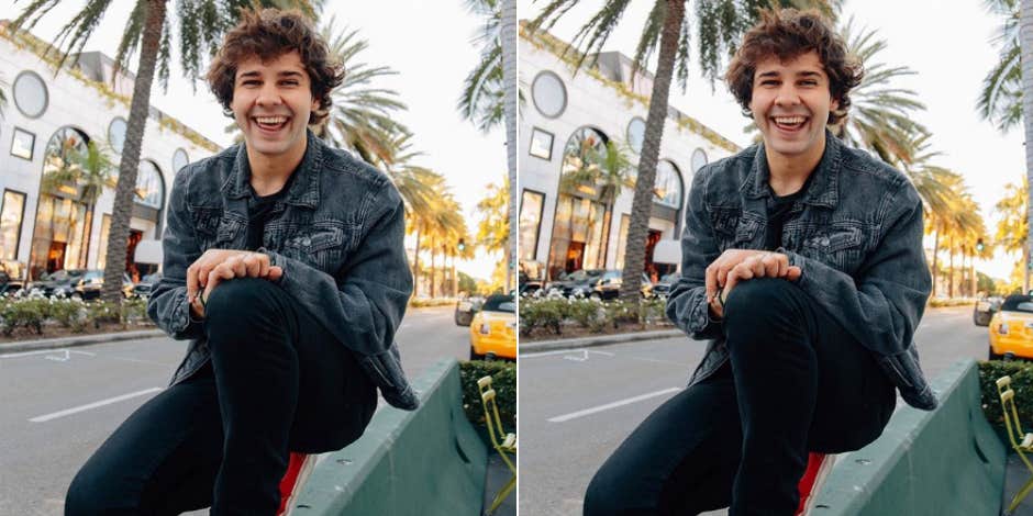 Who Is David Dobrik? New Details On YouTuber Spotted Partying With Disgraced Youtuber Olivia Jade Who Is David Dobrik? New Details On YouTuber Spotted Partying With Disgraced Youtuber Olivia Jade