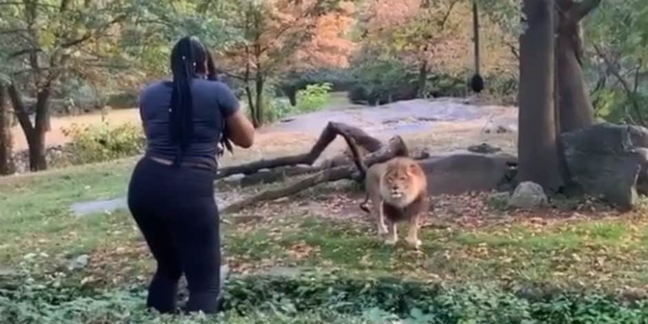 Who Is Myah Autry? Details On 'Crazy Cat Lady' Who Climbed Into The Lion's Den At The Bronx Zoo
