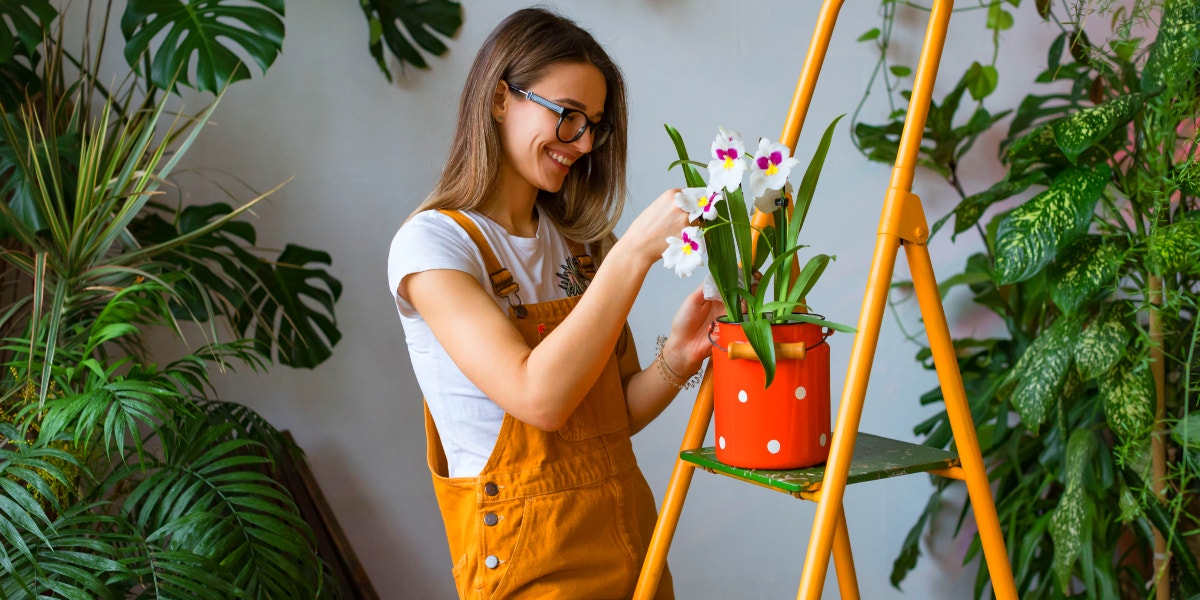 How To Grow An Indoor Garden When You Have No Outdoor Space How To Grow An Indoor Garden When You Have No Outdoor Space