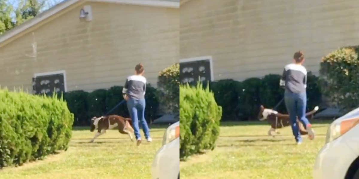 Couple Admits They Pay Their Rent By Snitching On Dog Owners Dog owner with dog