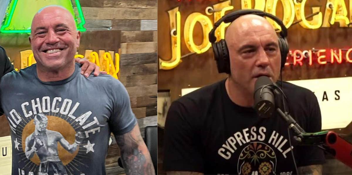 Joe Rogan 