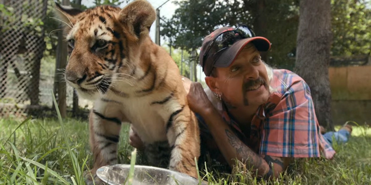 Who Is Joe Exotic? Inside New 'Tiger King' Netflix Show About Tiger Breeder Who Plots Murder-For-Hire