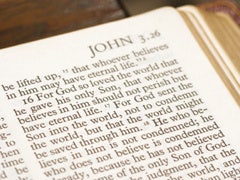 The Bible The Bible