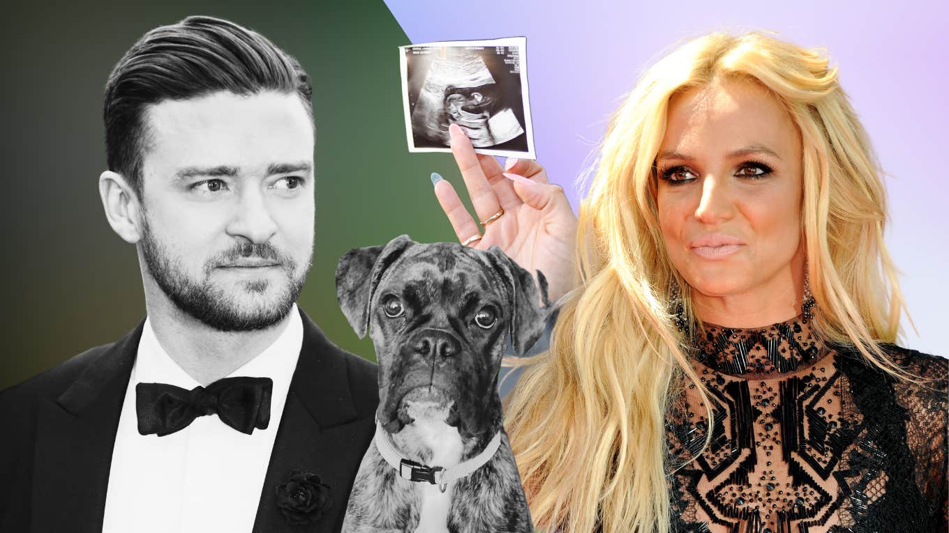 Justin Timberlake Named His Dog Brennan, The Name Britney Spears Wanted To Name Her Child justin timberlake, britney spears, dog brennan