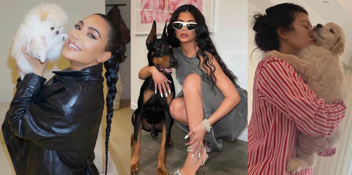What Happened To The Kardashian-Jenner Family's Dogs?