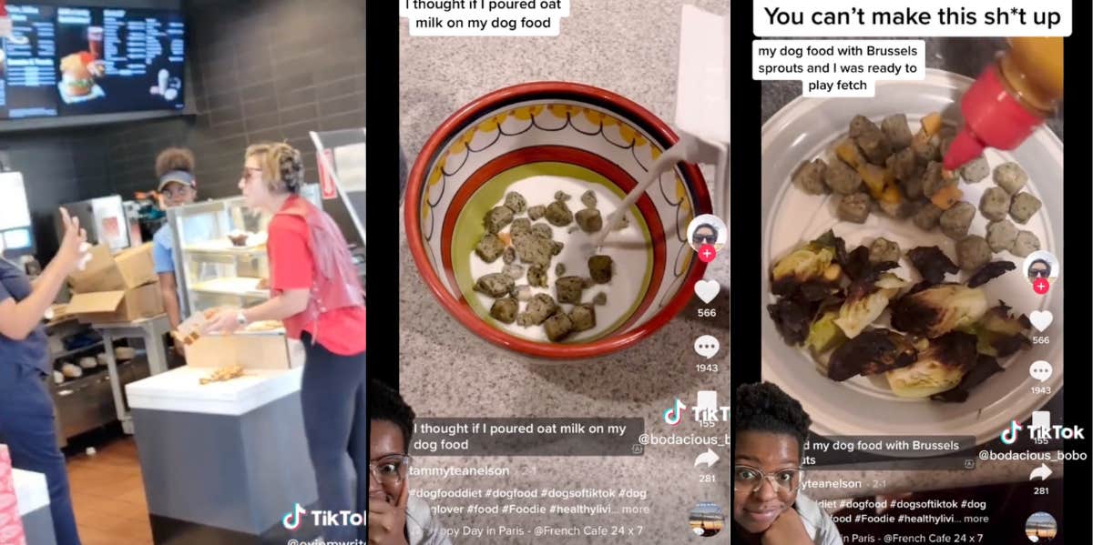 Screenshots from TikTok about "Ketchup Karen" and her dog food diet