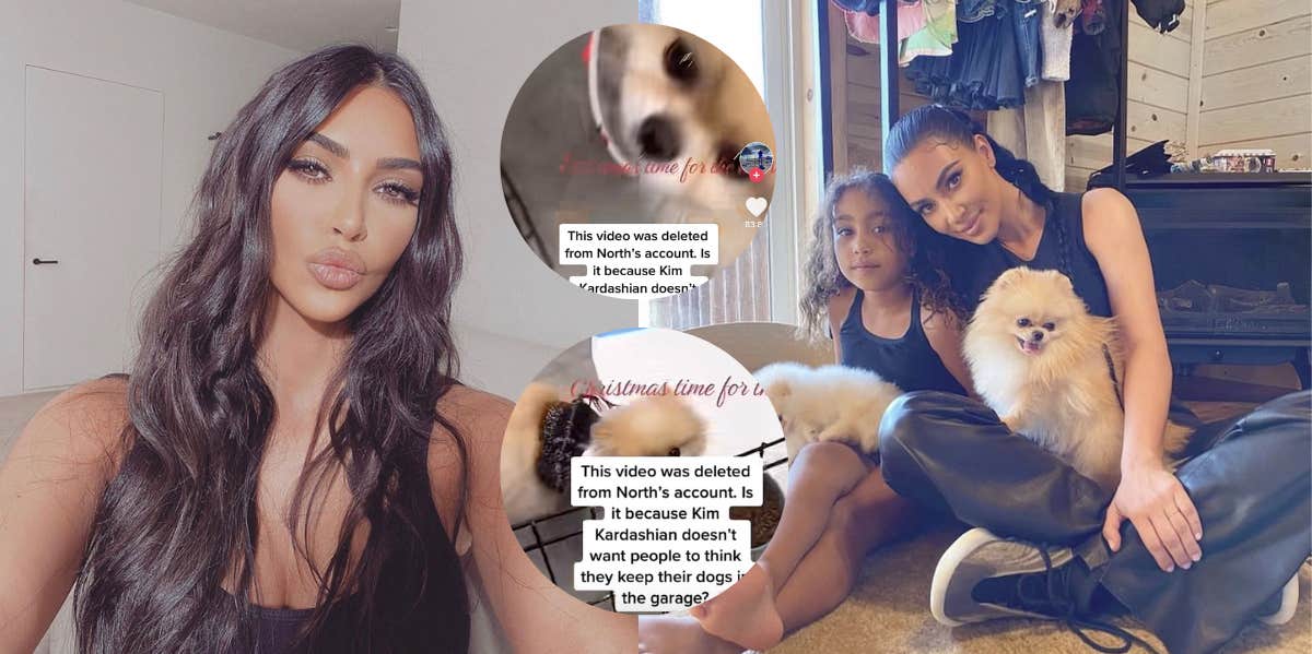 Kim Kardashian Allegedly Keeps Her Dogs In Garage According To Deleted TikTok kim kardashian, north west, dogs