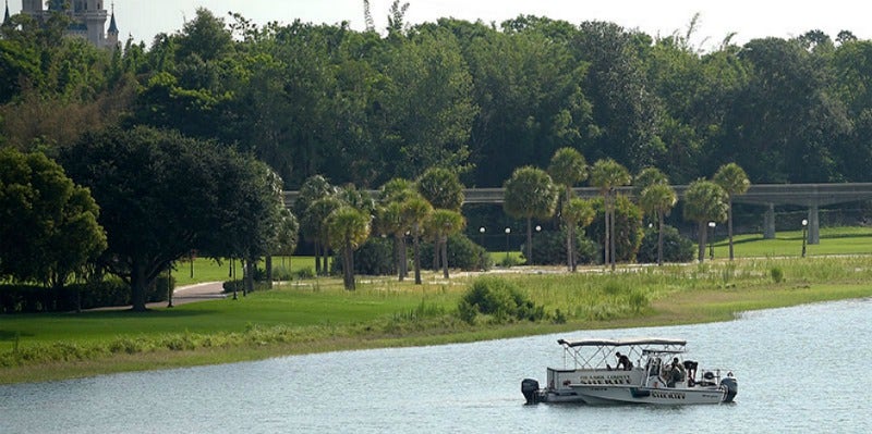 Photo Of Toddler Drowned By Alligator At Disney Released