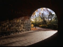 light tunnel