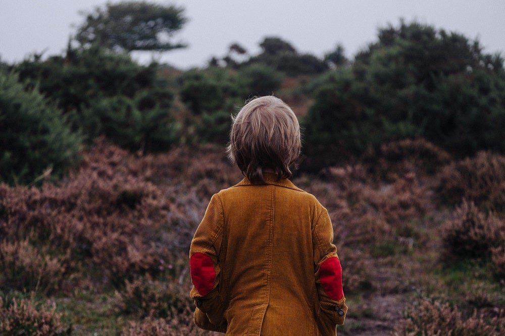 little boy in woods little boy in woods with his back to the camera