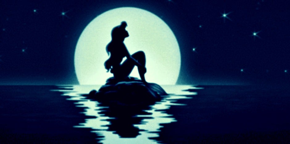 little mermaid little mermaid