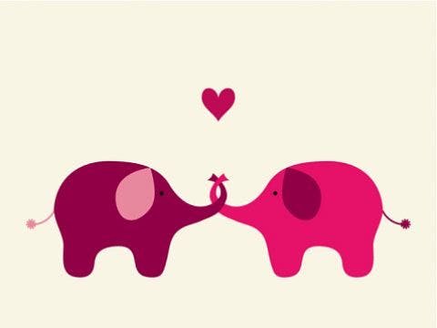 love connection love connection