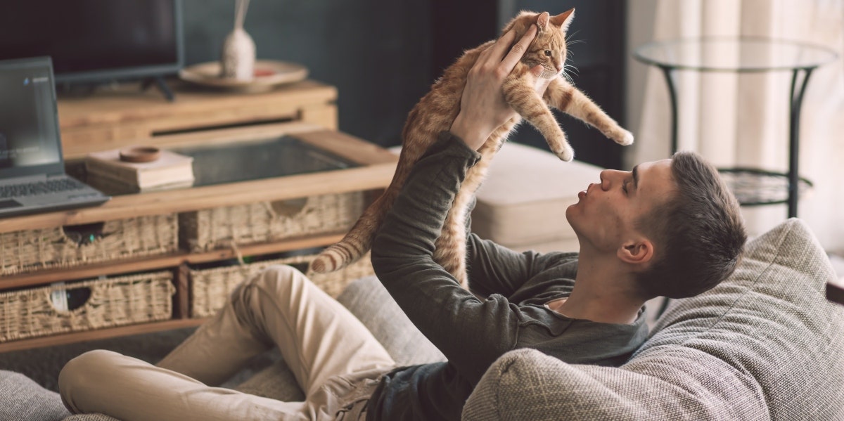 5 Best Low-Maintenance Pets For Apartment Living