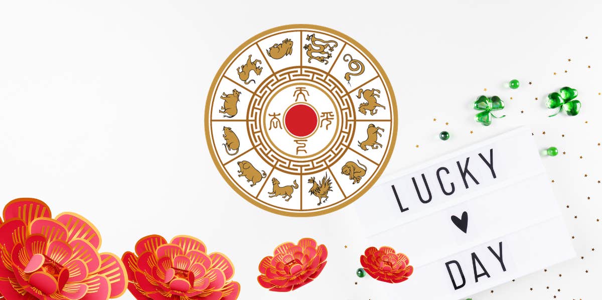 What Day Will Be Luckiest For Each Chinese Zodiac Sign From November 1 - 30, 2023 lucky day for each chinese zodiac sign november 2023