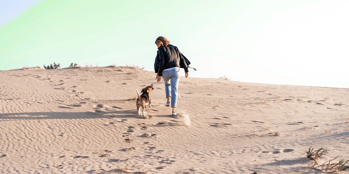 Luna The Blue Beagle Proves You Can Fall In Love Again After Losing A Pet