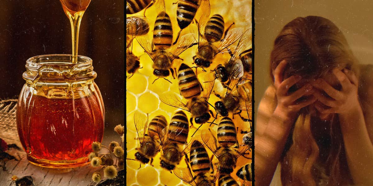 Mad Honey: The Rare Hallucinogenic Honey From The Himalayas honey and bees