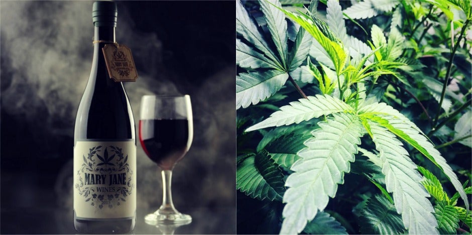 marijuana, alcohol marijuana, alcohol