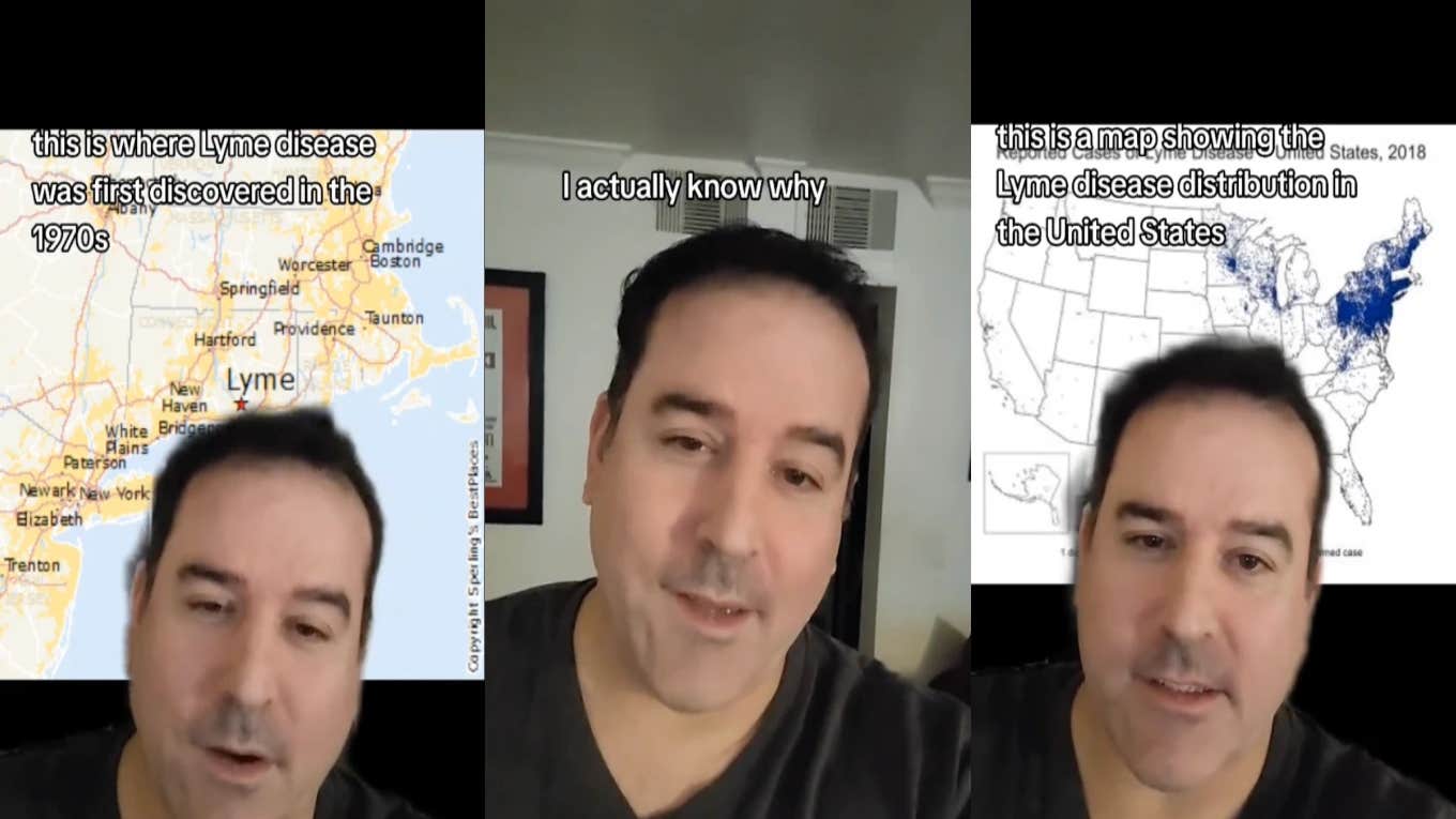 Man Reveals Why So Many Celebrities Have Been Diagnosed With Lyme Disease richard jordan tiktok