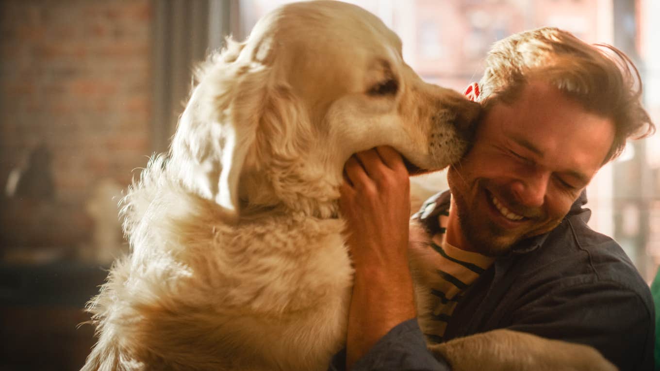 Man Falls To The Floor Crying After Learning An Airline Lost His 4 Dogs man playing with golden retriever dog