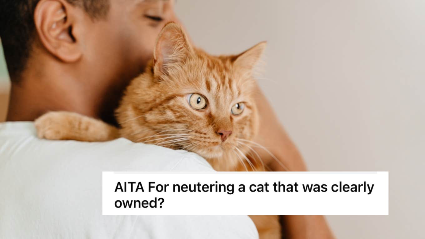 cat, man, neuter, owners 