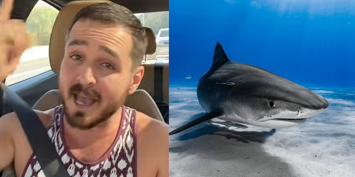 Man Explains How His Mom Tried To Kill Him By Throwing Him To Sharks Scott Stevens, shark