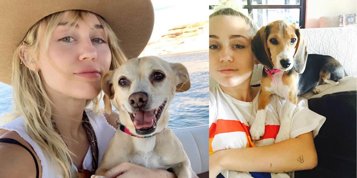 Miley Cyrus Is Said To Live Happily In A House Where 'Animal Droppings' Cover The Floors Miley Cyrus