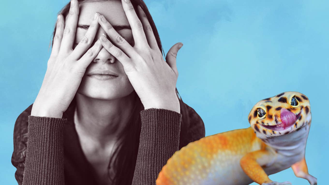 Mom Complains She’s The Only One That Feeds The Leopard Gecko She Gifted Her 5-Year-Old Son leopard gecko, mom, son, gift