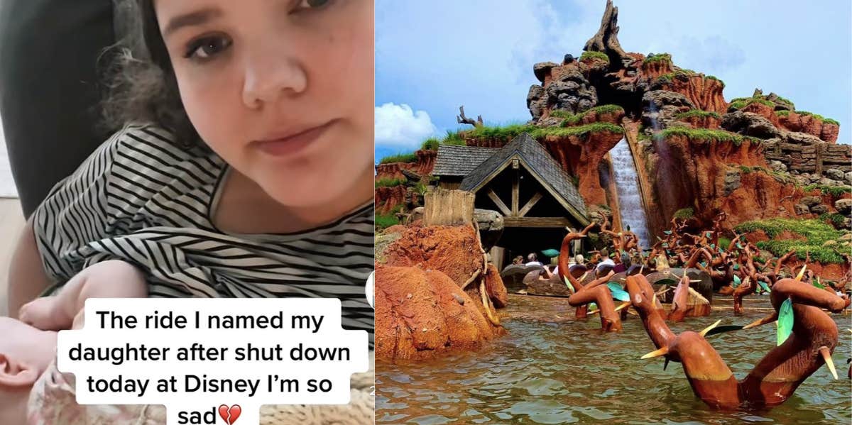 splash mountain ride, tiktok, tiktok mom, baby 