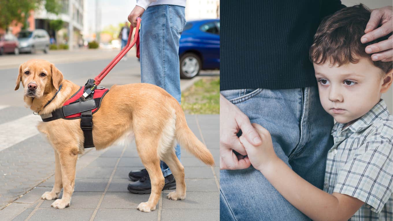 service dog, child, pets, mother 